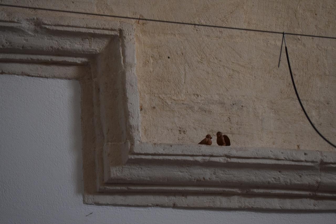 Corte Dei Venti Matera Exteriér fotografie
